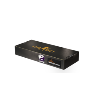 DreamHack 2014 Cobblestone Souvenir Package
